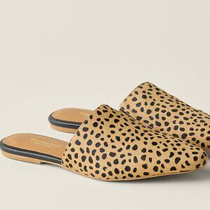 Garnet Hill Essential Iris Mules Women's US 6.5 EU 37.5 Cheetah Print Calf Hair